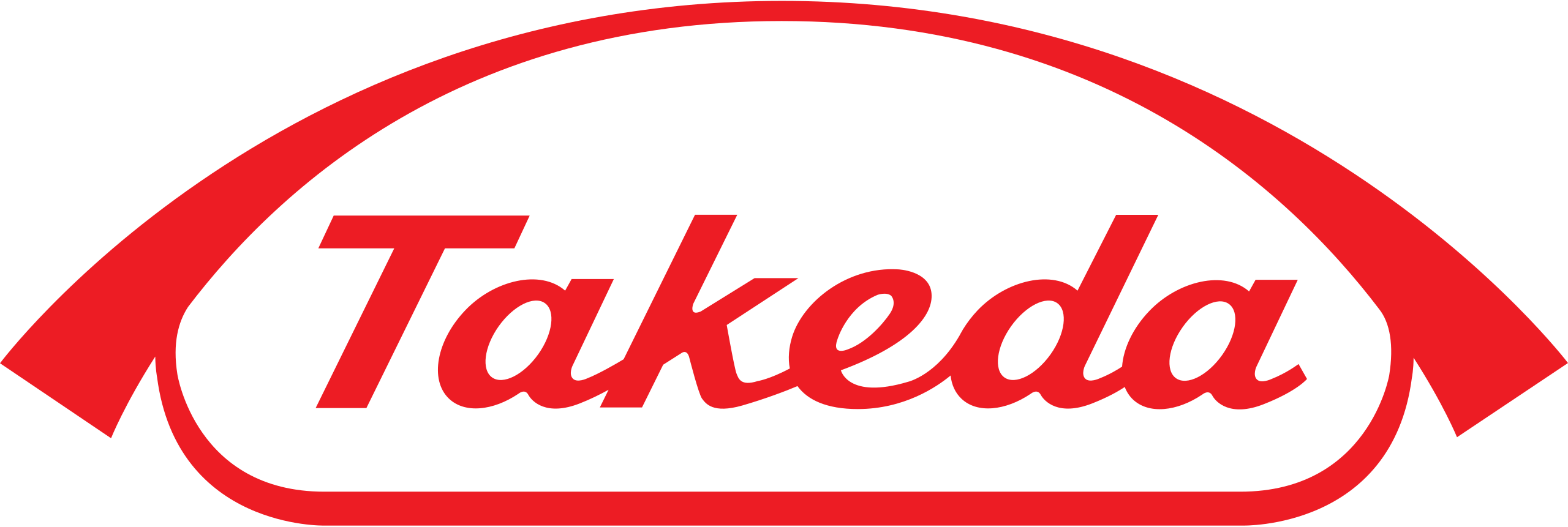 Partner Logo